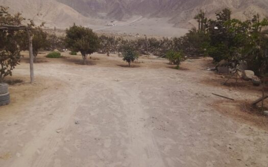 Venta de Terrero – Cieneguilla