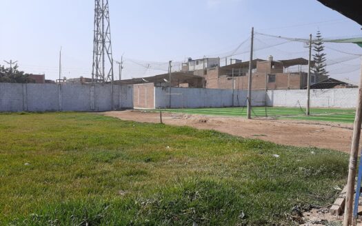 Alquiler de Local – Chincha